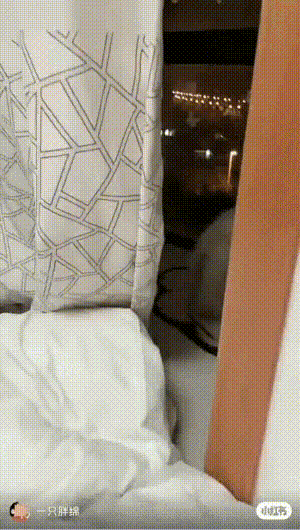 贾乃亮深夜发文挂微博，贾乃亮否认复合传闻