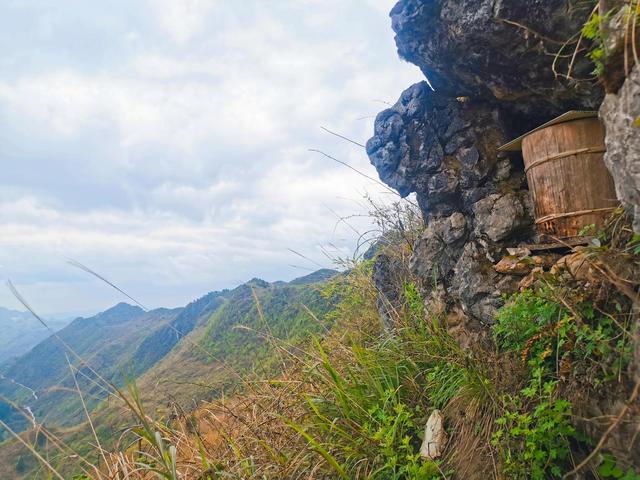 蜀地深山野生蜂蜜，贵州大山里的野生土蜂蜜