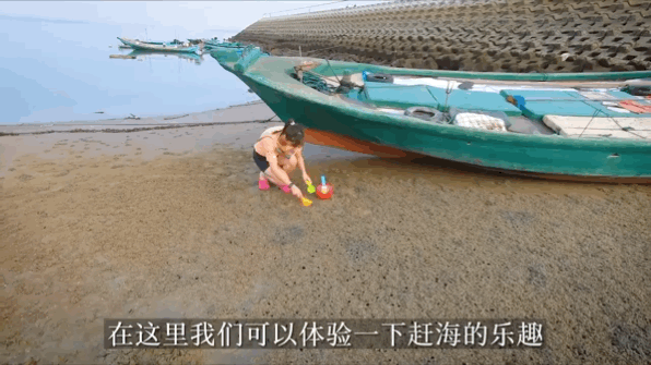 厦门赶海最全攻略，感受花式赶海的快乐