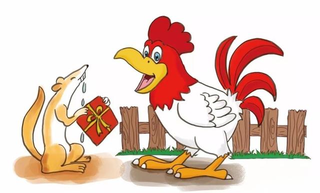 公鸡是天生就会早上打鸣的吗，公鸡为何晨时打鸣