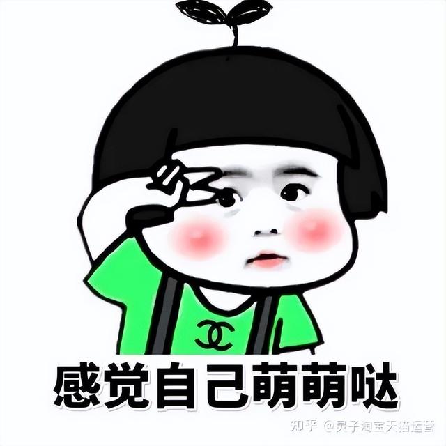 天猫代运营费用，淘宝天猫代运营托管怎么收费（天猫代运营公司的价格怎么定）