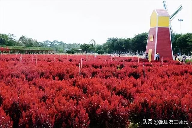 佛山自由行三日游攻略，游玩住宿攻略看这篇就够了