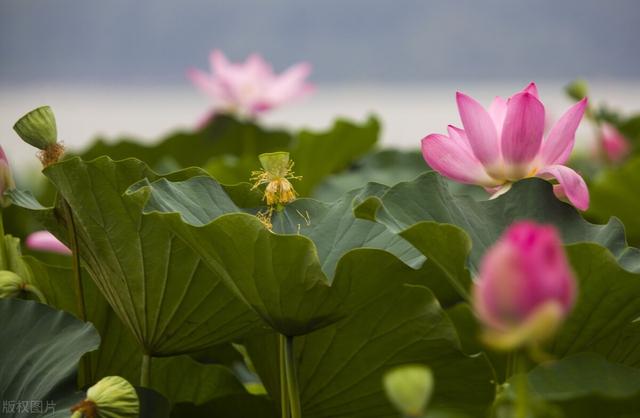 所有会计计算的公式，各个行业会计公式大全汇总