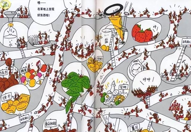 世界上最大的蚂蚁，世界上最大的蚂蚁在哪里生长（世界上最大的蚂蚁公牛蚁）