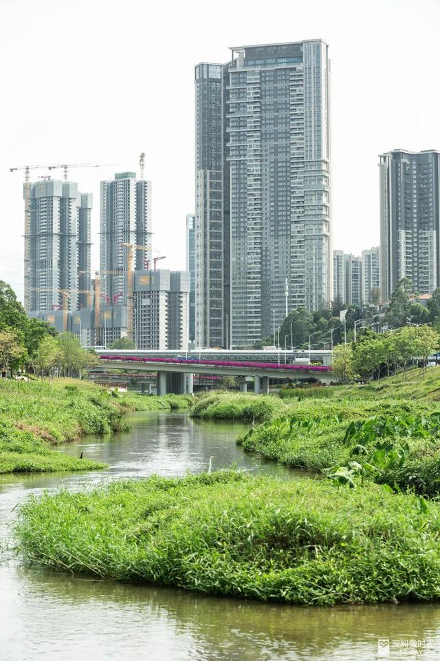 深圳防疫物价补贴，不裁员的企业最高扶持10万元……深圳罗湖推助企惠民十条措施
