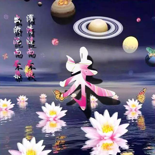 荷花头像图片大全，荷花头像高清图