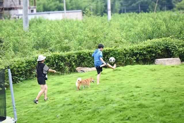 莫干山10家最佳民宿，泡暖心温泉私享冬日雪景丨南方民宿