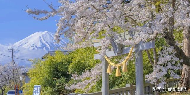 英语名著句子摘抄，这些绝美的世界级英文名著句子（英文名著好句子摘抄简短）