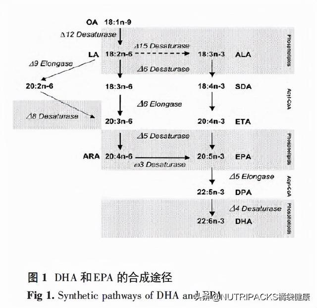 什么是鱼油的营养成分，鱼油富含维生素A和维生素D。#生命科学