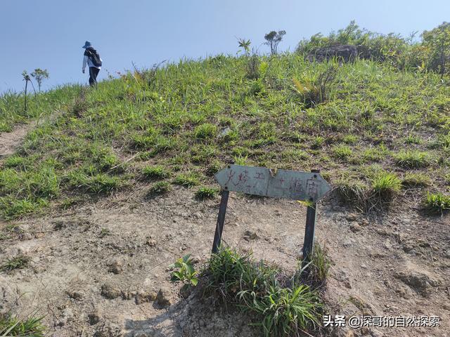 深圳不起眼的山峰，深圳这十座不知名山峰