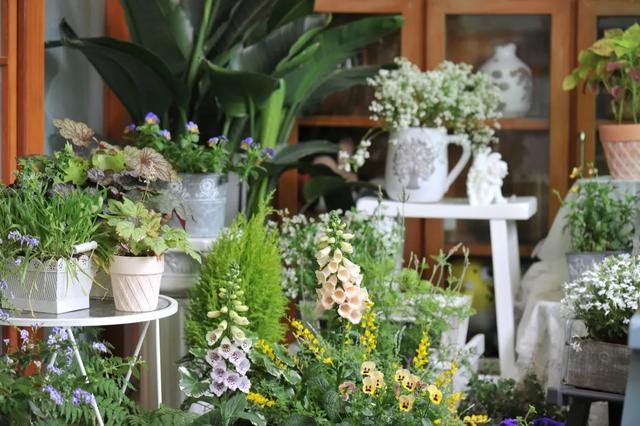 法式花园如何欣赏，海妈花园访问阳台花园满分案例