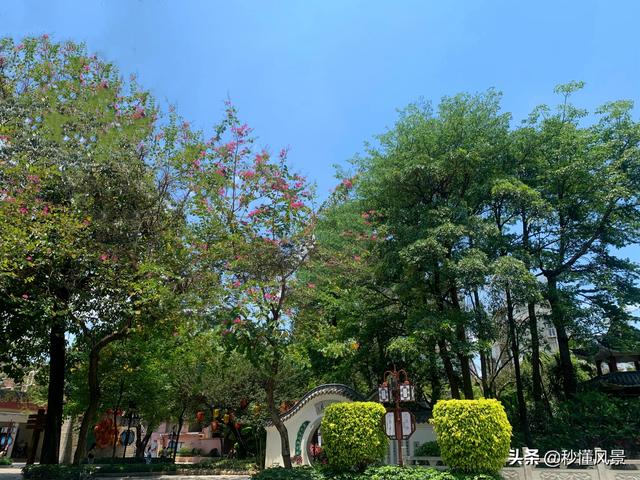 广州羊城十大公园，广州公园排行榜广州10大必玩公园