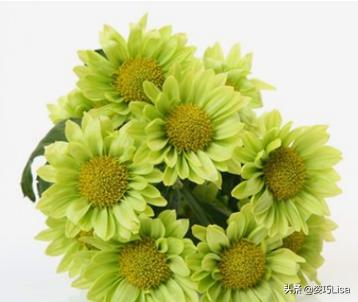 插花怎么弄出漂亮花束，掌握这“三个”原则