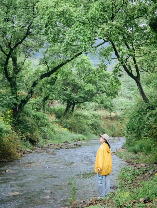 北仑森林植物园，宁波市12月份适合旅游的地方（浙江宁波市北仑区值得游玩的旅游景点有哪些）