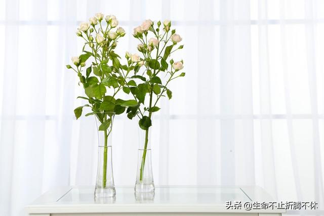 吃人嘴软拿人手短，俗话说吃别人的嘴软拿别人的手短