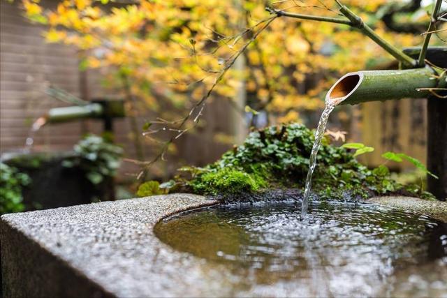 心洁意静不染尘，心若安宁万事从容