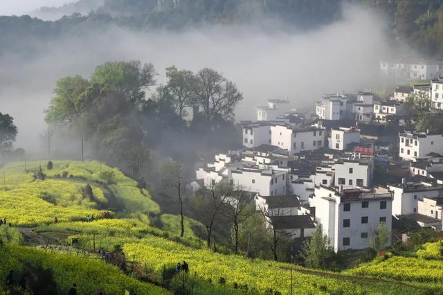 江西婺源油菜花，婺源看油菜花最佳地点