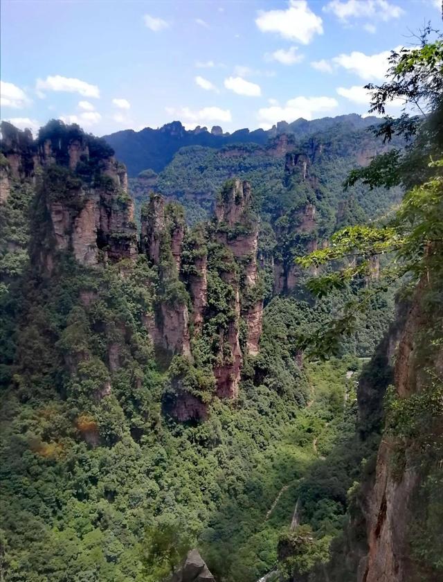 张家界什么地貌，什么是张家界地貌（张家界的特色地貌是）