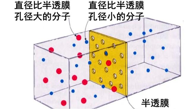 海水淡化的科学原理和方法流程，过程不到10分钟