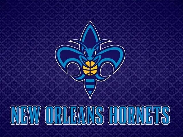 nba黄蜂队有哪些球员，NBA球队中山猫黄蜂