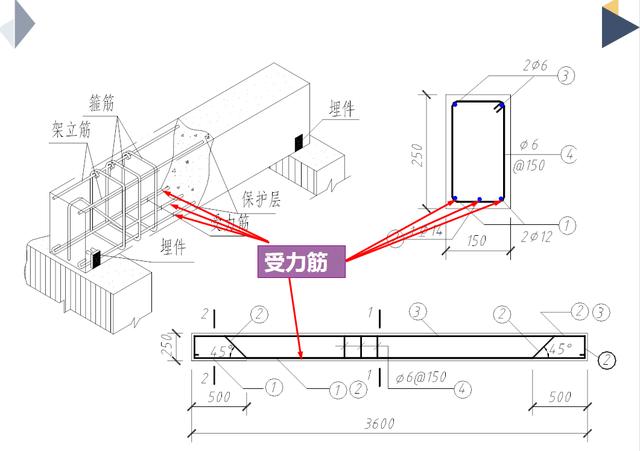 钢筋图纸入门识图讲解，钢筋图纸入门识图讲解教程（老师傅教你零基础如何看懂钢筋图纸）