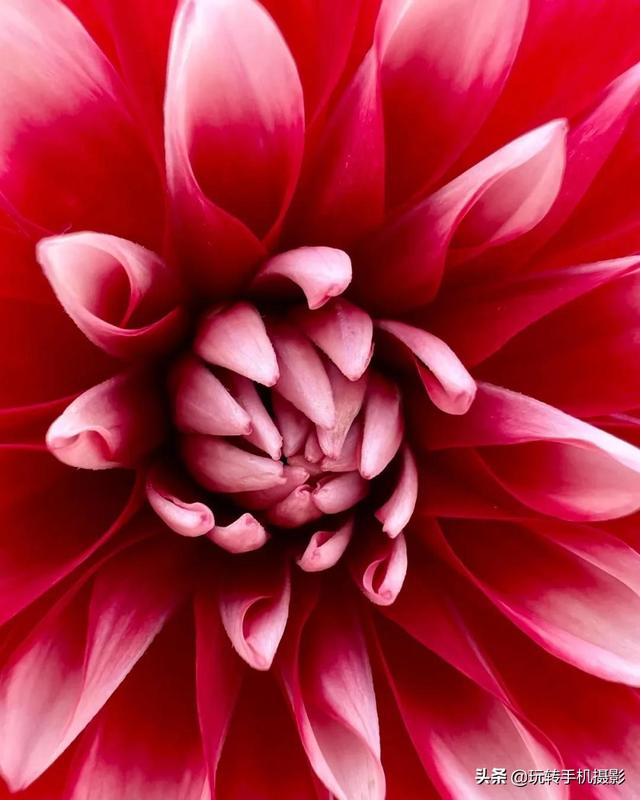 绿色星球有哪些，豆瓣评分9.8的绿色星球