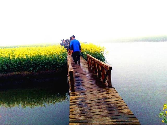 兴化油菜花一年四季都有，那一抹金黄的千垛油菜花