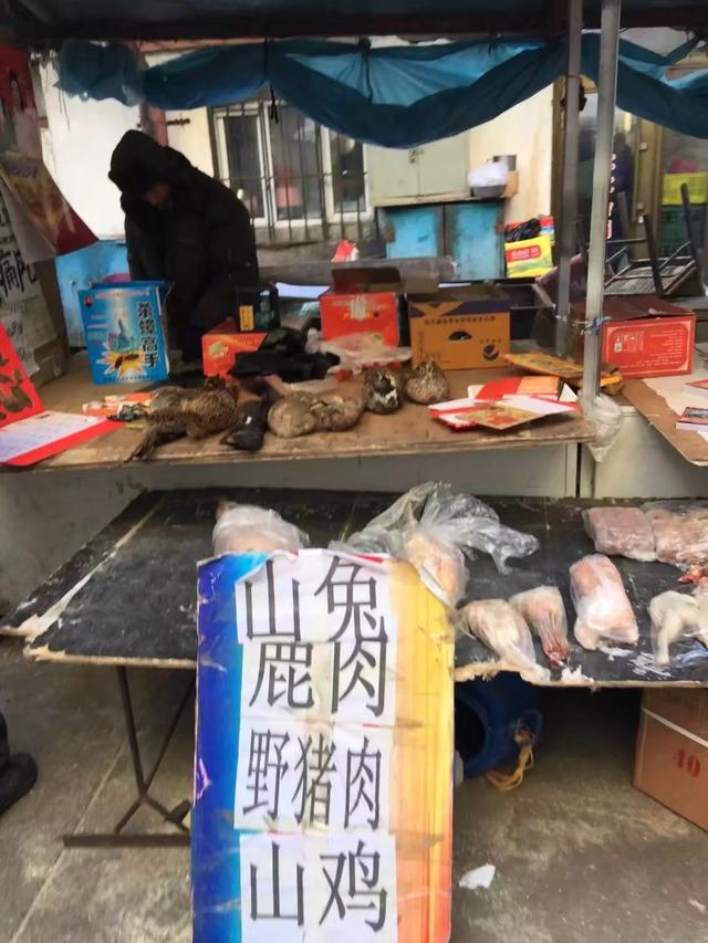 糖尿病毛葱(糖尿病吃毛葱)