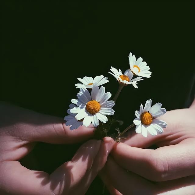 如何调节情绪做情绪的主人，情绪失控怒掀课桌……老师别生气