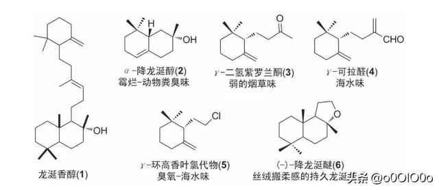 香水主要成分龙涎香，名贵香水定香剂