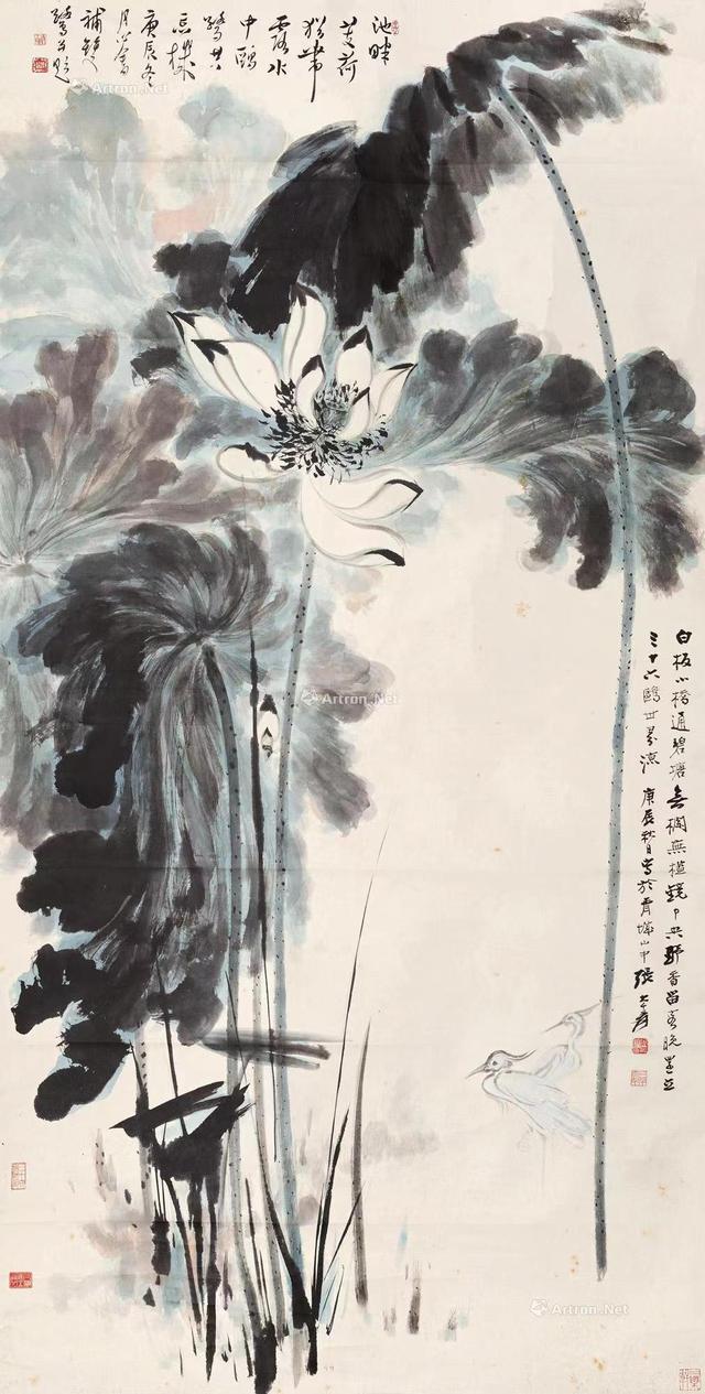 禅意写意荷花200幅，大千居士荷花图赏析