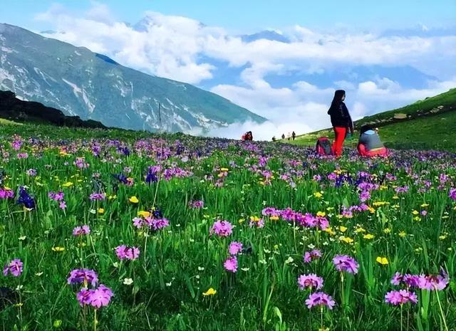 四川8月避暑旅游最佳去处，四川有一个清凉世界走红