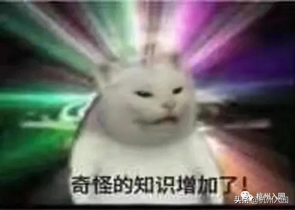 杭州近江民办幼儿园排名，杭州10所学费低的民办幼儿园