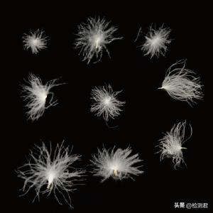 羽绒服执行标准，国标羽绒服标准