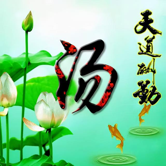 荷花头像图片大全，荷花头像高清图