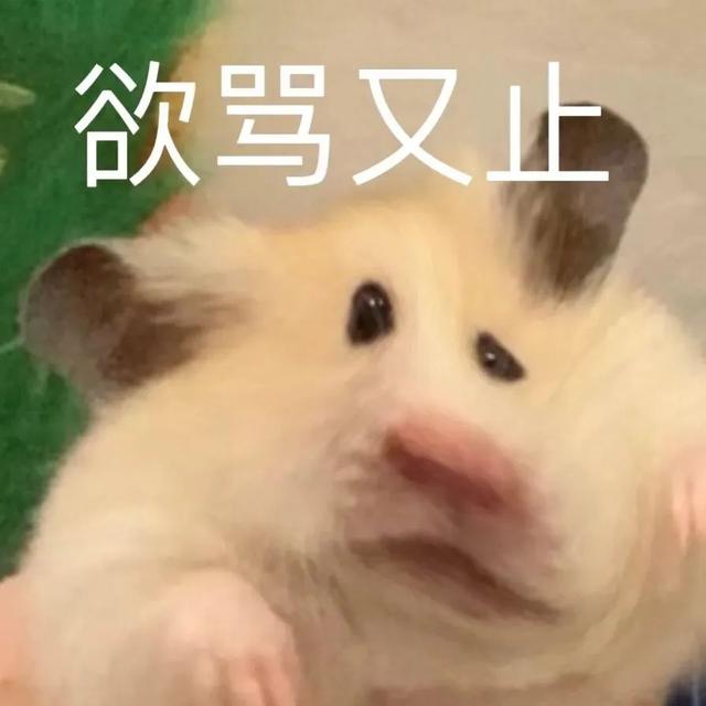 小仓鼠动态迷你表情包，变形脸仓鼠可爱老鼠
