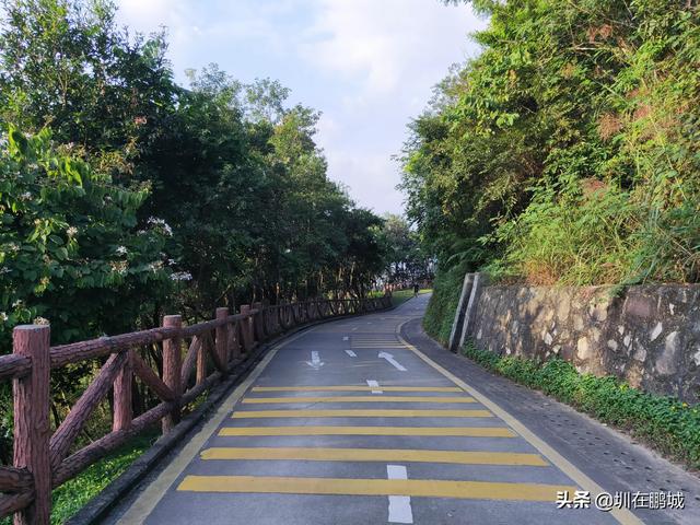 深圳排名前十山峰，这17座深圳山峰你有爬过吗