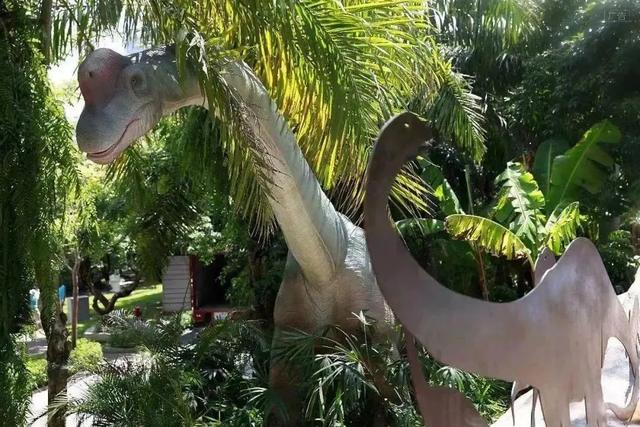 世界之窗免费参观时间，深圳这些景区免费入园