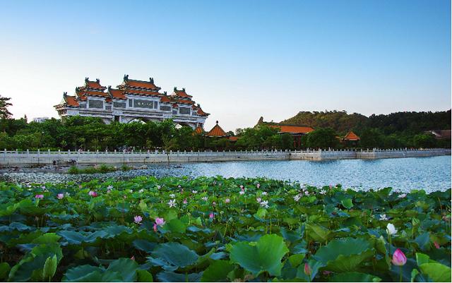 佛山自驾免费旅游攻略必去景点，佛山十大免费景点