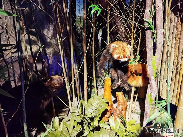青岛西海岸旅游景点介绍大全，青岛西海岸新区旅游推荐