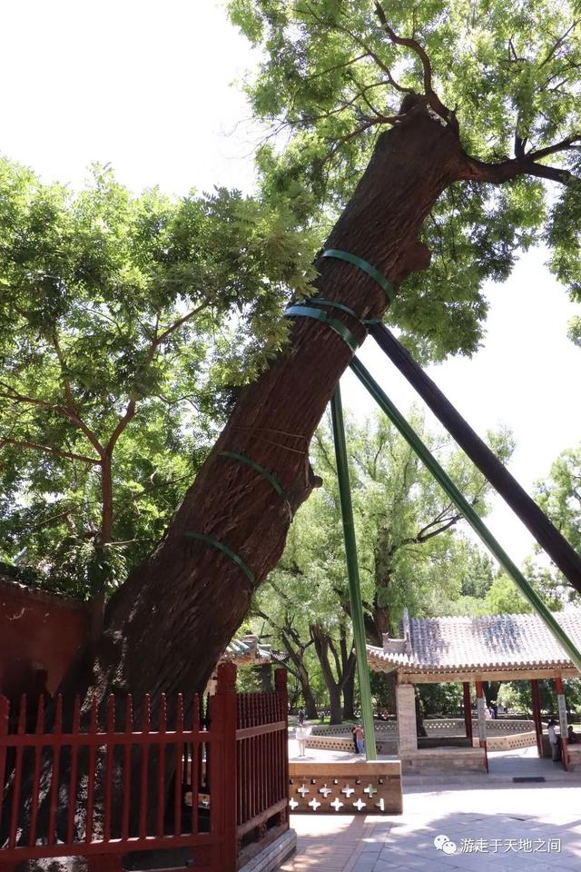 晋祠公园景点介绍，山西晋祠有什么景点好玩（古老晋国宗祠）