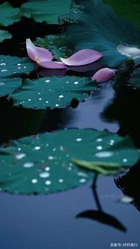 常用对联25对，天下智慧写在这25副对联里