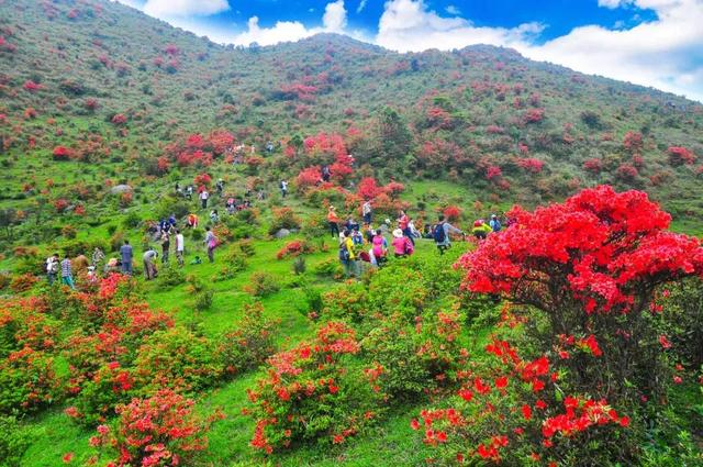 云浮天露山风景区好玩吗，广州出发自驾2h