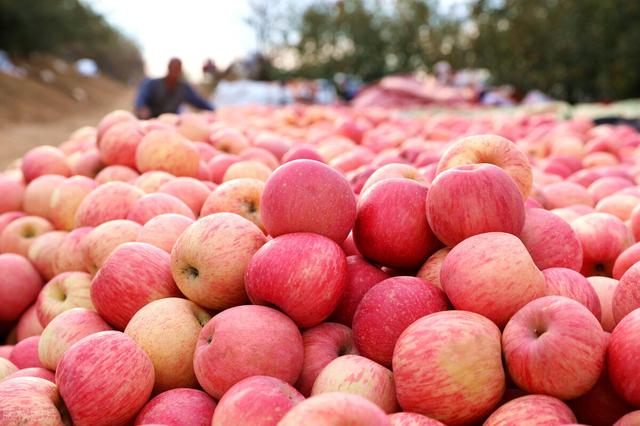 河南特产有什么值得带，河南18个地市能带走的特产都在这