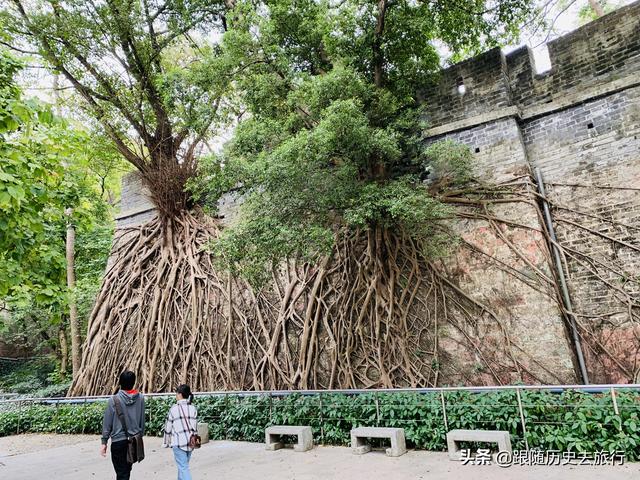 广州白云区风景打卡圣地，盘点广州5座小众打卡地