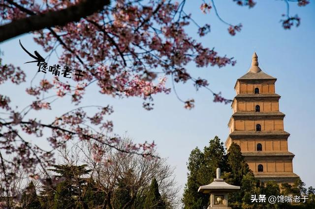 出门旅游吃的必备物品清单，建议这5种食物要带上