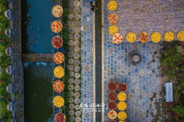 当秋分遇上农民丰收节，去山东的美丽乡村看秋