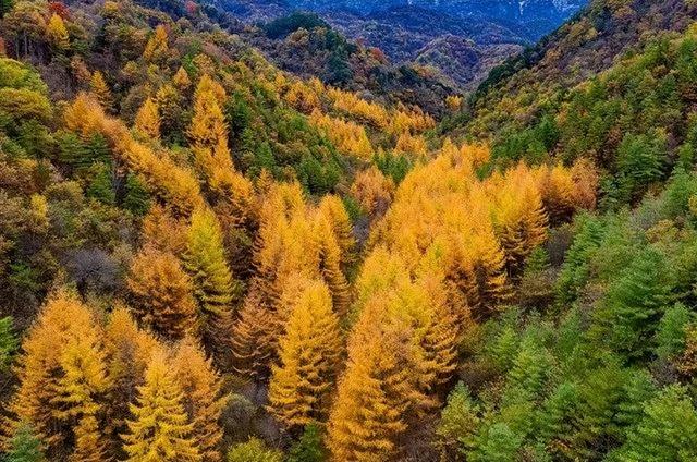火车沿途风景最佳路线夏天，国内这些赏秋火车路线