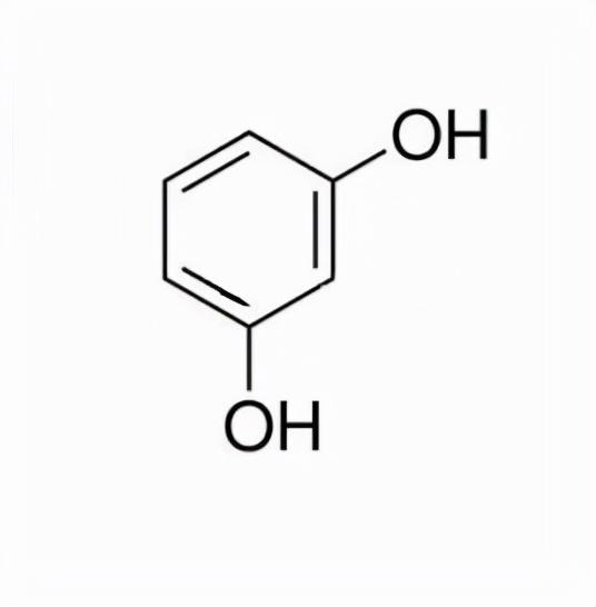 野生蟾蜍能吃吗，到底哪些是野生动物