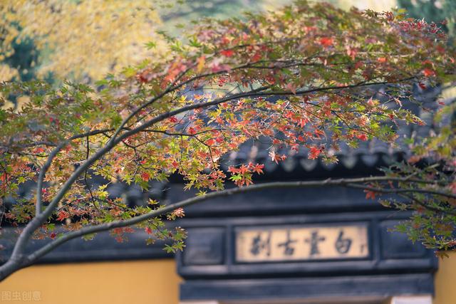 增广贤文经典名句，增广贤文十条金句